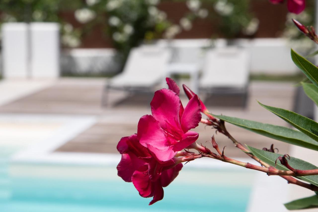 Holiday home Perithia Suites Peritheia